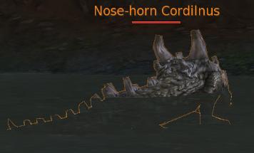 Nose-horn Cordilnus